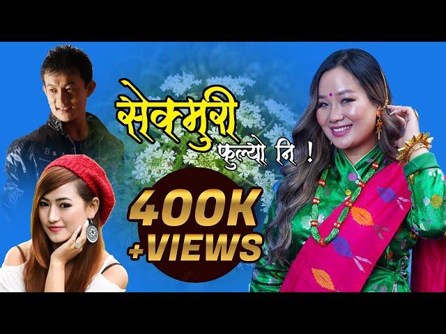 सेक्मुरी फुल्यो || Sekmuri Fulyo || Kushal Thalang Limbu&Melina Rai||Ft.Shrijana & Shailendra - 2017