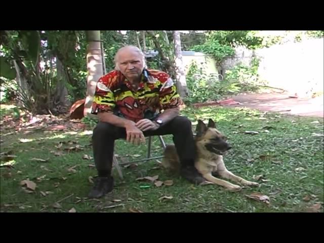 Animal Line - BioAktiv CQ Testimonal - Ross Allan Dog Trainer - Part 1