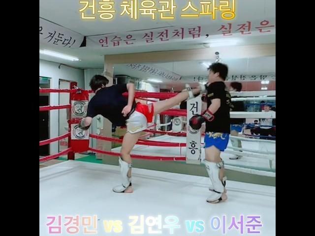 김경민 vs 김연우 vs 이서준/ 건흥 체육관 스파링 Highlight 영상/2024-11-15 #muaythai #มวยไทย #Тайскийбокс #속초 #건흥 #건흥무에타이