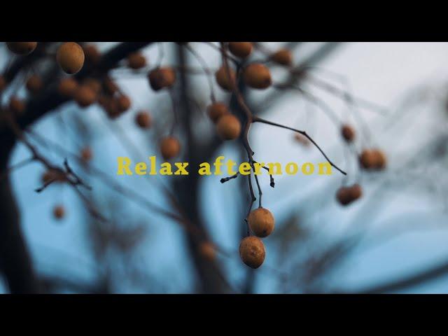 【微作品分享Ep2】悠閒的午後時光 relax afternoon | 猩巴達