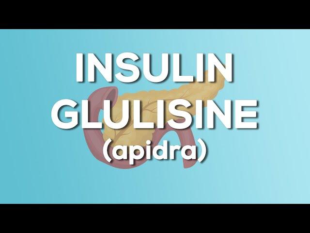 Insulin Glulisine (Apidra) Nursing Drug Card (Simplified) - Pharmacology