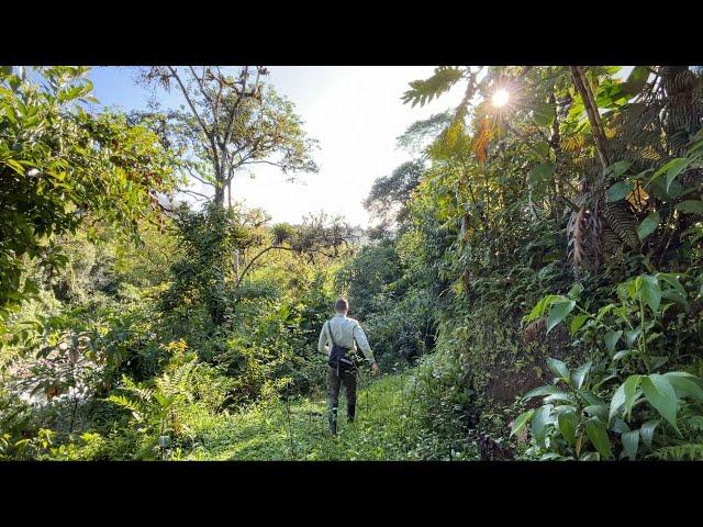 Nature Journal With Me: Silent Film