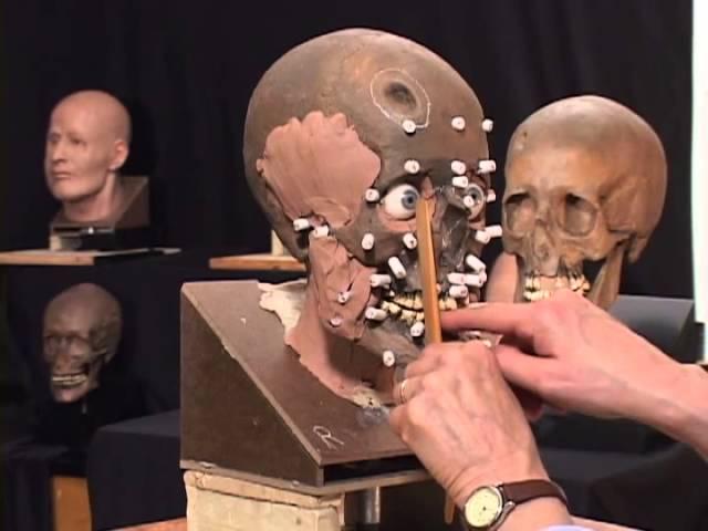 The Science and Art of The Facial Reconstruction Process