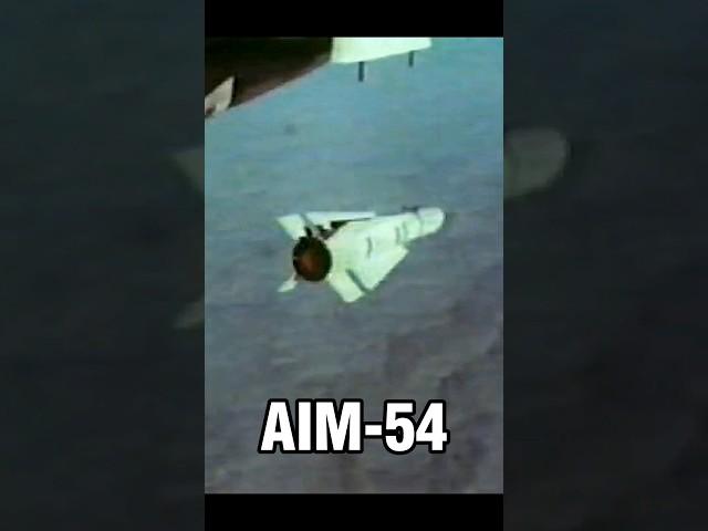 The formidable AWG-9 radar and AIM-54 Phoenix missile #f14 #aim54 #tomcat