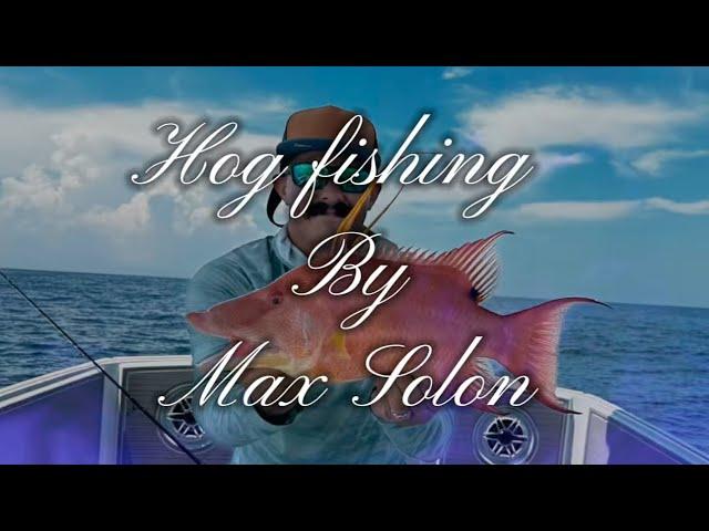 Hog fishing by Max Solon