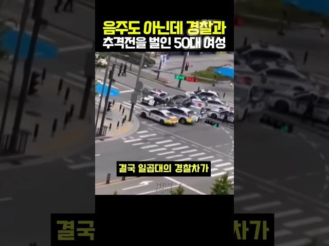 경찰과 김여사의 추격전