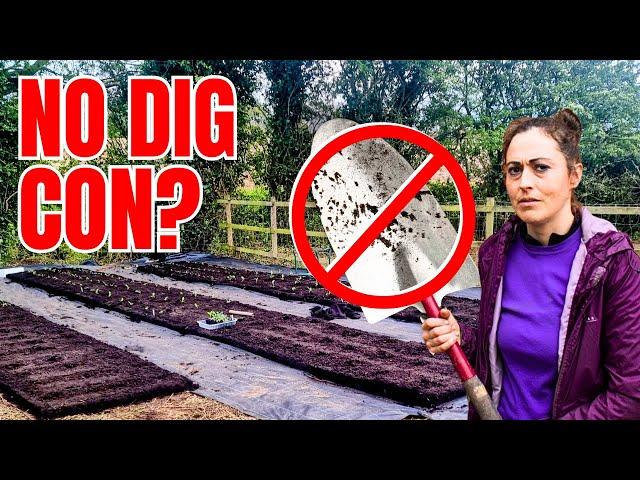 Is no dig gardening a CON? The REAL COST EXPOSED as a BEGINNER