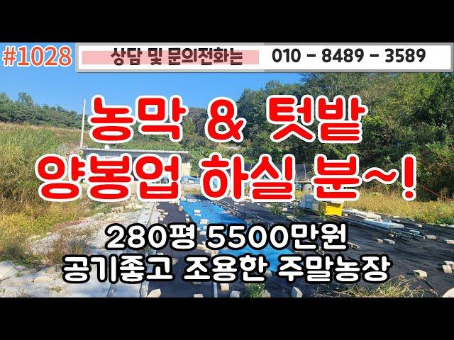 #1028농막과 텃밭 양봉업하실분 추천/ 280평 5500만원/ 마을과 떨어져 조용하고 간섭없는곳/취사와 숙식가능한 현대식 농막/욕실/#영천주택#영천땅   010-8489-3589