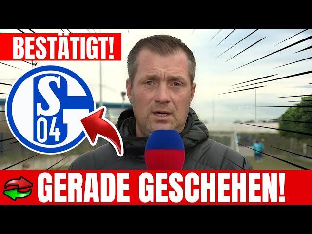 S04: NEUER TRAINER GEFUNDEN! // nachrichten von schalke 04  // News