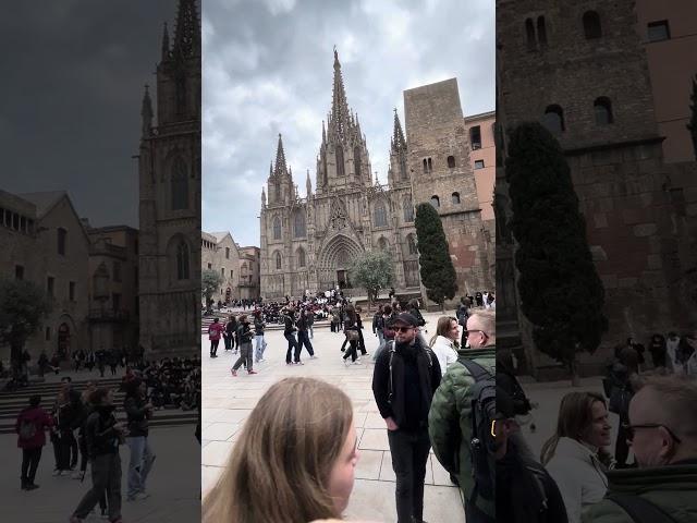 Cathedral of Barcelona #barcelona #catalunya #spain #travel #history #cathedral #gothicarchitecture