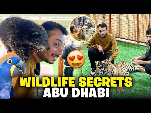 Wildlife Secrets- home of wild animals around the world / Jimmy junaid zoologist