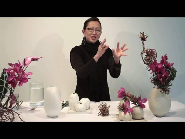 Accent Decor T2: Simply Intriguing