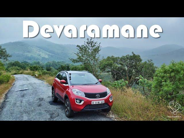 Devaramane Chikmagalur hill road | Chikmagalur tourist places | Steps Together