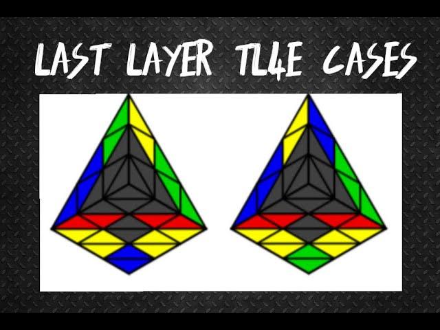 Full TL4E Tutorial | Part 2 | Last Layer Cases