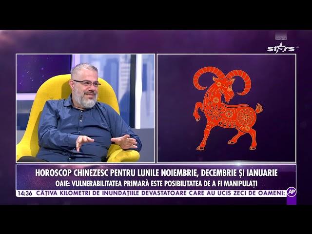 Ce îți rezervă astrele pentru lunile noiembrie, decembrie și ianuarie | Dragon, șarpe, cal, oaie, ma