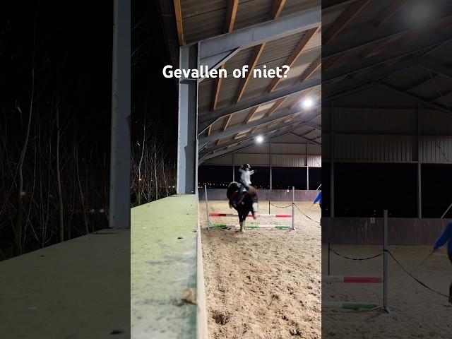 GEVALLEN of NIET?? #horse #horsefail #equestrian