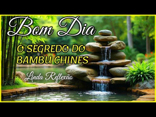 Mensagem de Bom Dia e Reflexão I O Segredo do Bambu Chinês