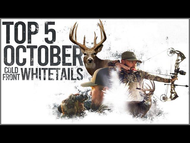 Our Top 5 October Cold Front Whitetail Hunts!