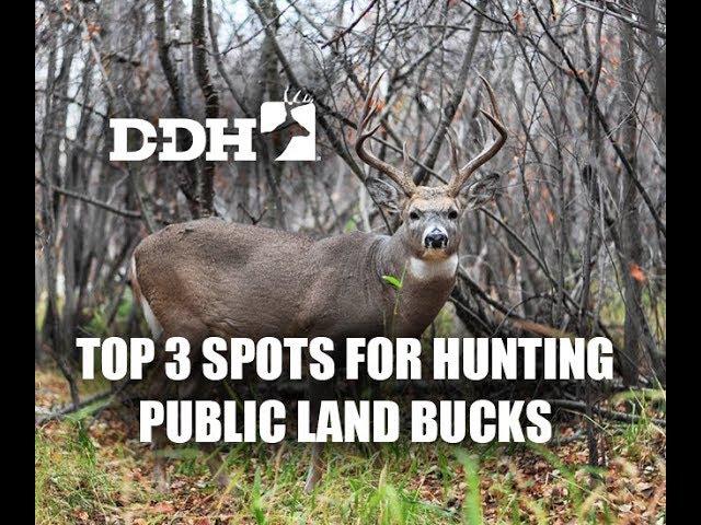 Top 3 Spots for Hunting Public Land Bucks