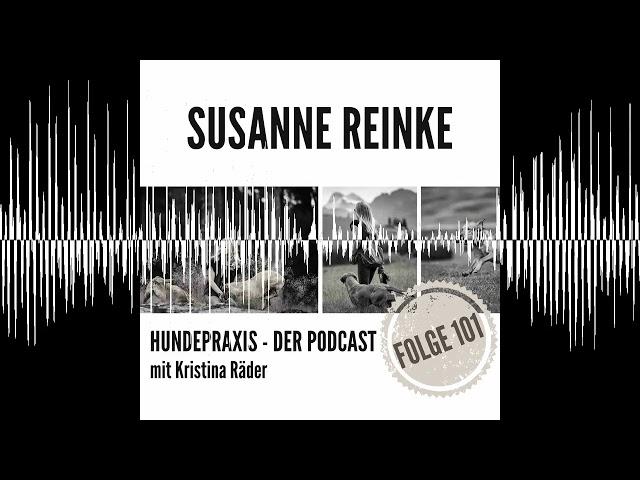 Strukturiert kommt man weiter - Hundepraxis - der Podcast