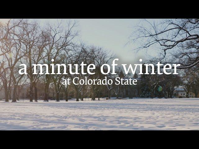 A minute of winter at Colorado State ️