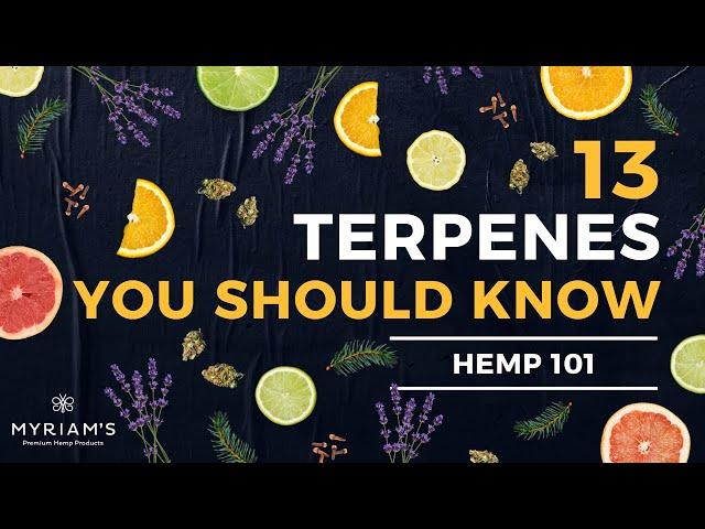 13 Cannabis Terpenes You Should Know