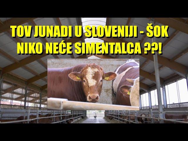 ŠOK  - KAKO SLOVENCI TOVE JUNAD - OBJEKAT - i ko su im glavni KUPCI ?! Izbacili ORANJE ...