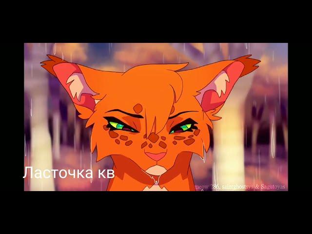 Белка и Уголёк|•°Alone°•|клип (Squirrelflight and Ashfur)