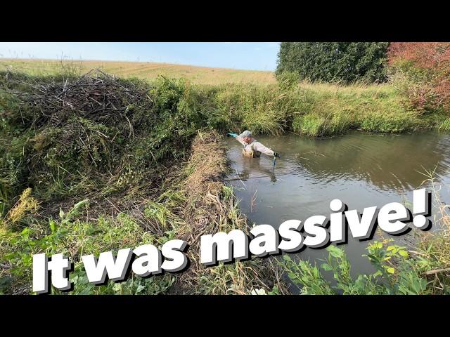 Huge Dam Rollover || I've Found Fish There!