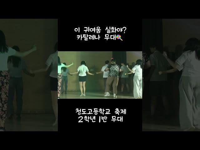 귀여움 실화? 카탈레나 무대 인트로