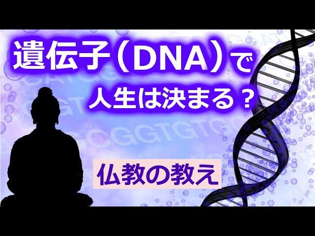 遺伝子で人生や幸福は決まってしまうのか【ブッダの教え】