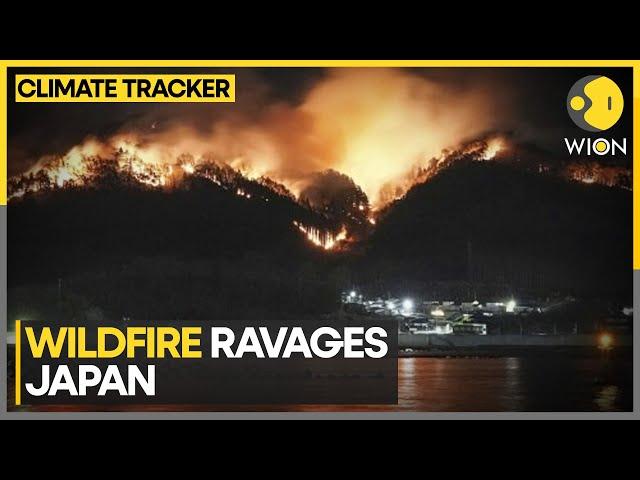 Extensive Forest Fire Ravages Parts Of Northern Japan | World News | WION Climate Tracker