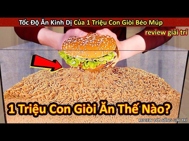 Khả Năng Ăn Uống Của 1 Triệu Con Giòi Kinh Dị Đến Thế Nào? || Review Giải Trí Đời Sống