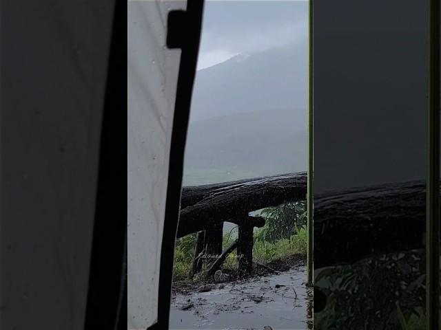 Solo camping in the rain, enjoying hot noodles in the tent #campinginheavyrain  #shorts