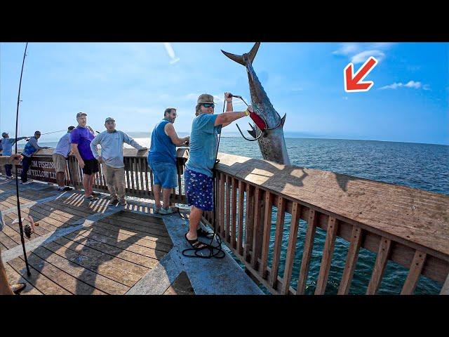 Pier Fisherman's Dream Fish Caught From This Gulf Pier!