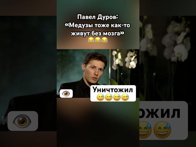 Дуров тонко про мозг журналистки #павелдуров #дуров #озвучка #знаменитости