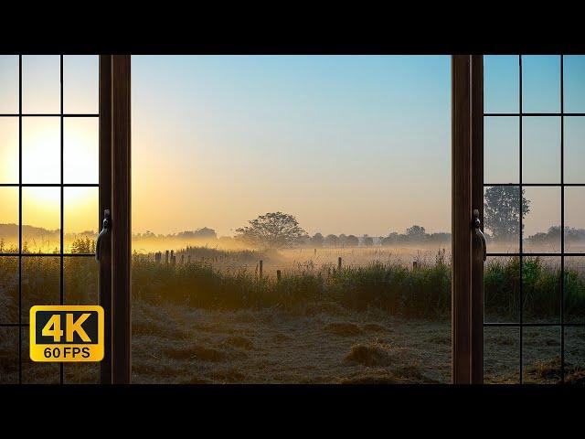 4K Countryside morning sunrise Ambience Window view with Nature Sounds -  Relaxing, Calming, Sunset