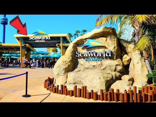 SeaWorld San Diego California Ultimate Full Tour 2024