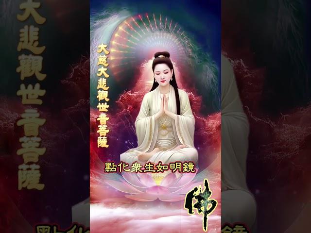 大慈大悲觀世音菩薩 #正能量分享 #shorts #觀音菩薩聖誕 #心靜心淨 #德慧圓滿 #感謝天恩師德  #善歌聖音善愿迴向化劫息災  #人心向善世界祥和