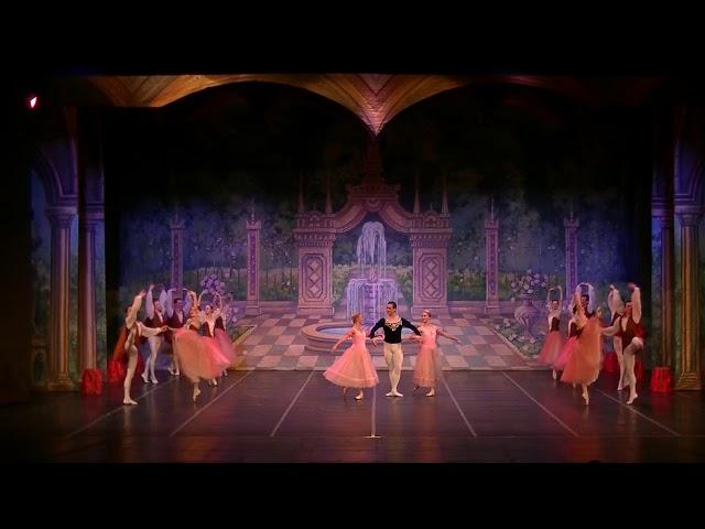 Swan Lake Act 1