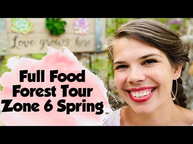 Three year old full permaculture food forest TOUR zone 6 spring