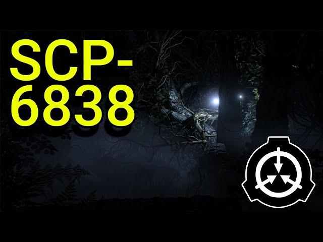 SCP-6838 | Light in the Woods