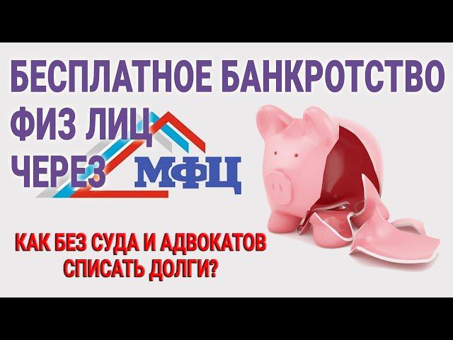 Бесплатное банкротство физ лиц через МФЦ / Как без суда и адвокатов списать долги?