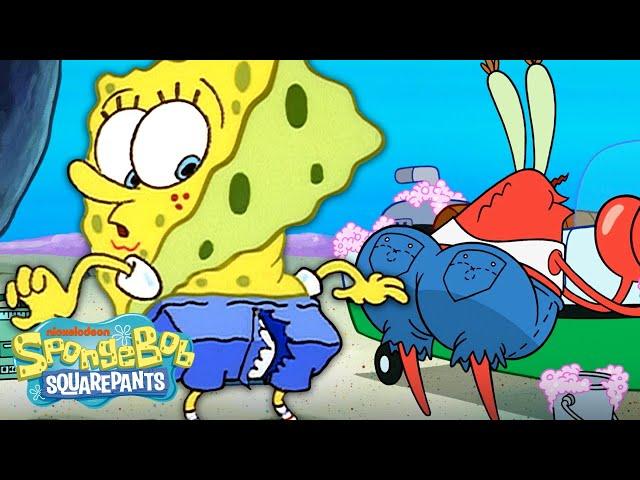 Best of Bikini Bottom's Bottoms!  | SpongeBob