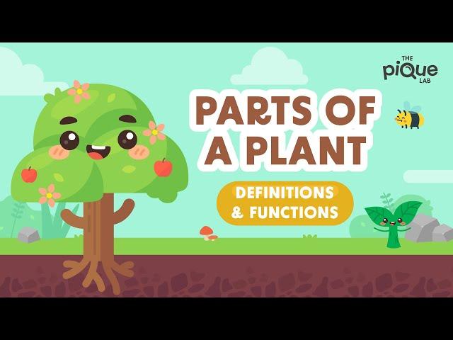 Parts Of A Plant: Definitions & Functions | Primary School Science Animation