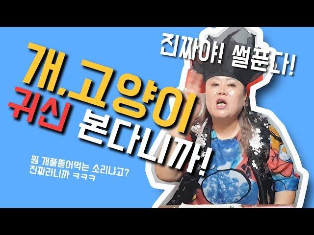 [샤먼tv] 영신암 - 개 고양이 , 진짜 귀신볼까? 영신암 경험담!! 수원 경기도 무당 영신암