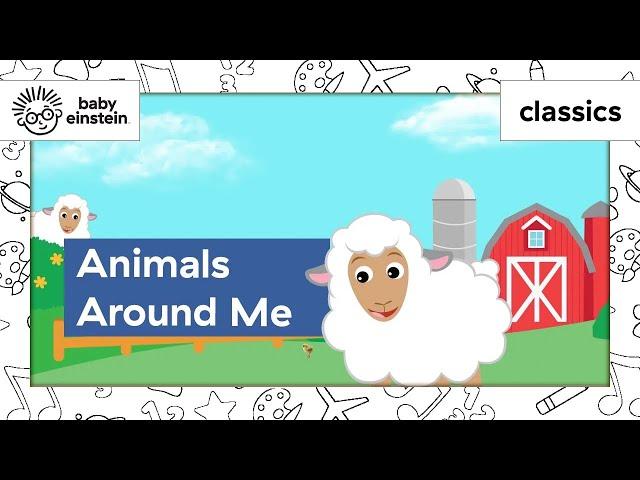 Toddlers Learn Animals | Animal Learning for kids | Cute Animals | Animals Around Me | Baby Einstein