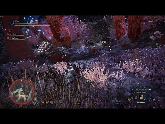 Now THAT is a Dudica Clip! (MH World)