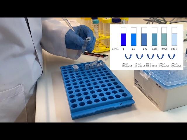 10 - Bradford Assay