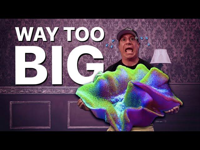 The BIGGEST Leather Coral We've Ever Seen!! *MIND BLOWN *